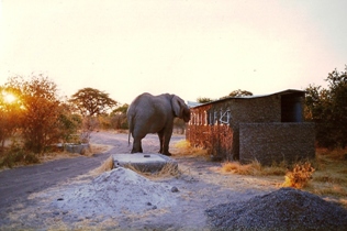 Botswana Border Posts Hours